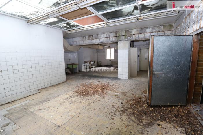 Prodej komerční nemovitosti, Karlovy Vary - Rybáře, Sokolovská, 600 m2