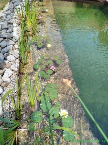 Prodej rodinného domu, Slavkov u Brna, 60 m2