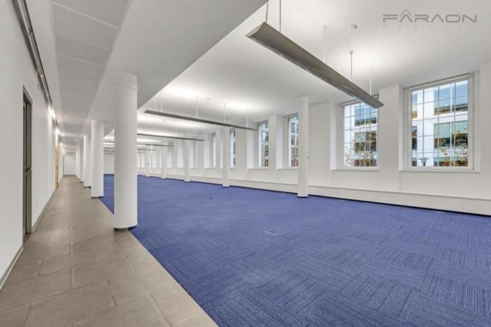 Pronájem kanceláře, Praha - Karlín, Křižíkova, 429 m2