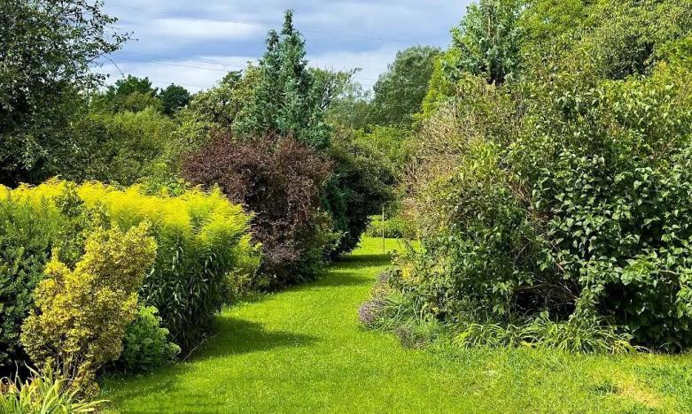 Prodej činžovního domu, Brno - Maloměřice, Franzova, 3164 m2