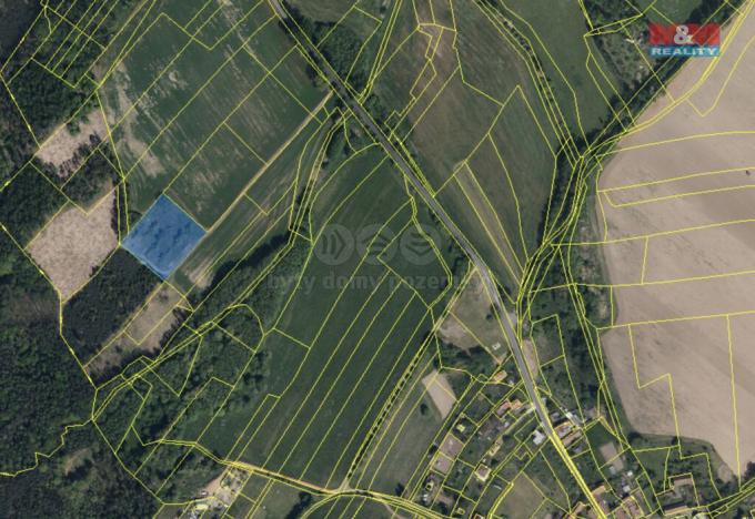 Prodej pole, Morašice, 5219 m2