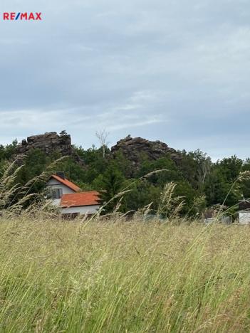 Prodej vícegeneračního domu, Černolice, Pod Hůrkou, 420 m2