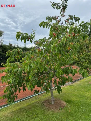 Prodej vícegeneračního domu, Černolice, Pod Hůrkou, 420 m2