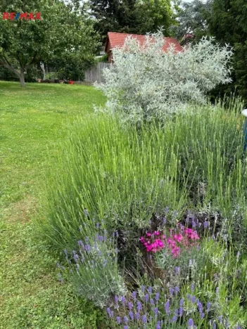 Prodej ubytování, Černolice, Pod Hůrkou, 420 m2