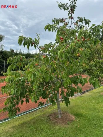 Prodej ubytování, Černolice, Pod Hůrkou, 420 m2