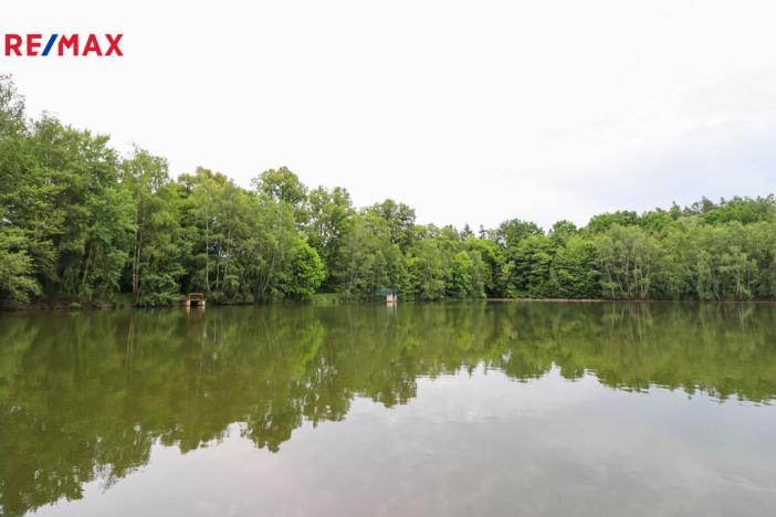 Prodej rybníku, Čejov - Hadina, 190028 m2