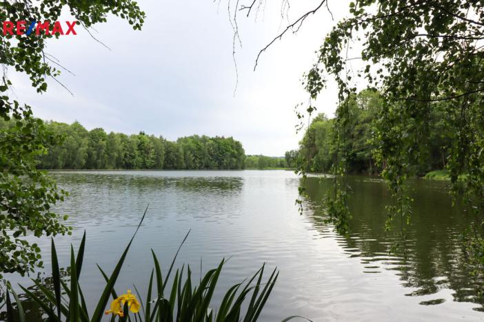 Prodej rybníku, Čejov - Hadina, 190028 m2