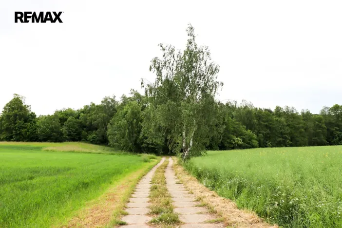 Prodej rybníku, Čejov - Hadina, 190028 m2