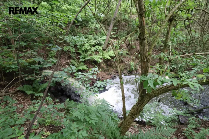 Prodej rybníku, Čejov - Hadina, 190028 m2