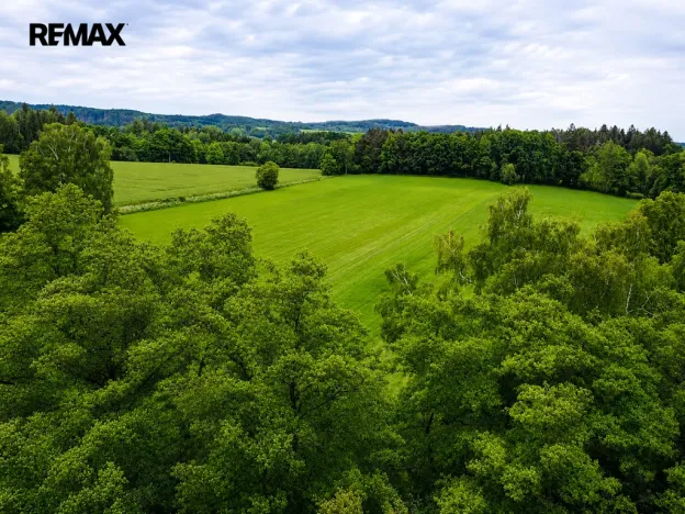 Prodej rybníku, Čejov - Hadina, 190028 m2