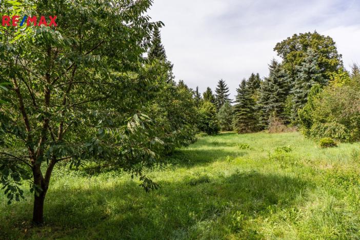 Prodej rodinného domu, Kamenice - Štiřín, Ringhofferova, 101 m2