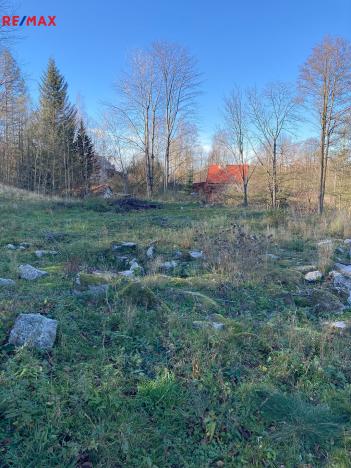 Prodej pozemku, Bílý Potok, 6645 m2