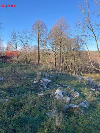 Prodej pozemku, Bílý Potok, 6645 m2