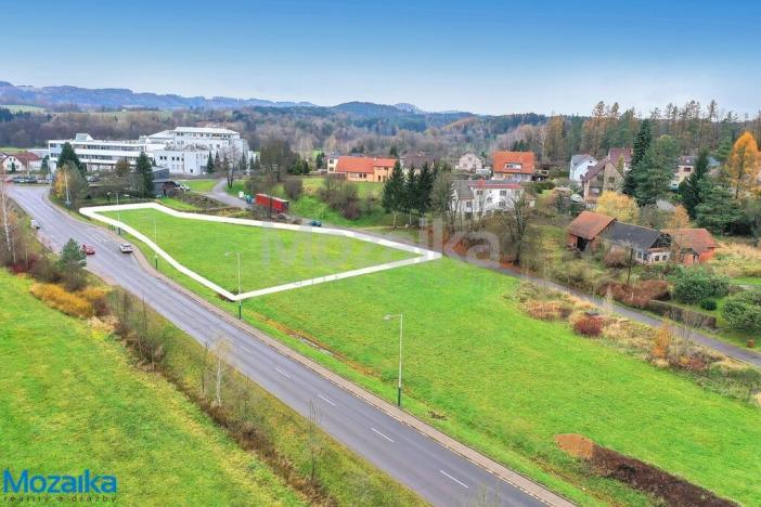 Prodej komerčního pozemku, Dolní Dobrouč - Lanšperk, 3757 m2