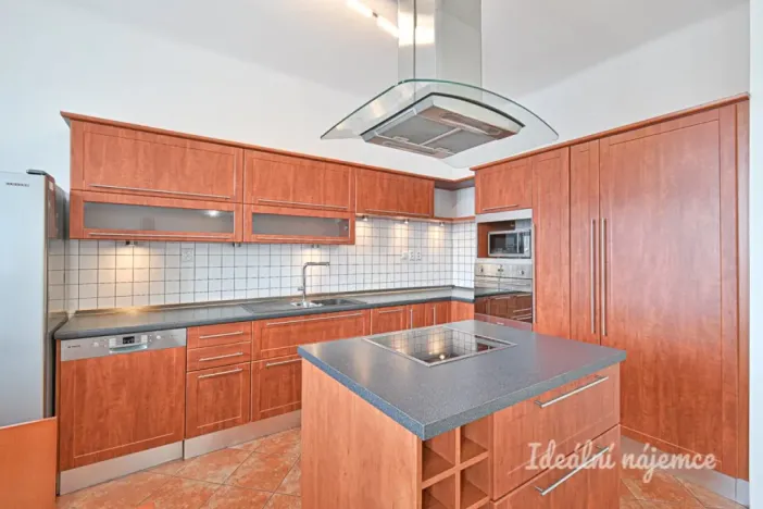 Prodej bytu 3+kk, Brno - Ponava, Rybníček, 109 m2