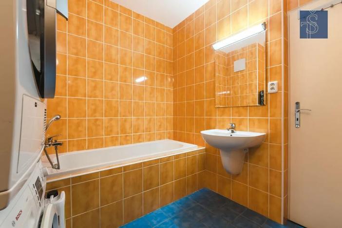 Prodej bytu 2+1, Praha - Záběhlice, Hyacintová, 197 m2