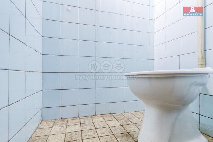 Prodej obchodního prostoru, Žinkovy - Březí, 115 m2