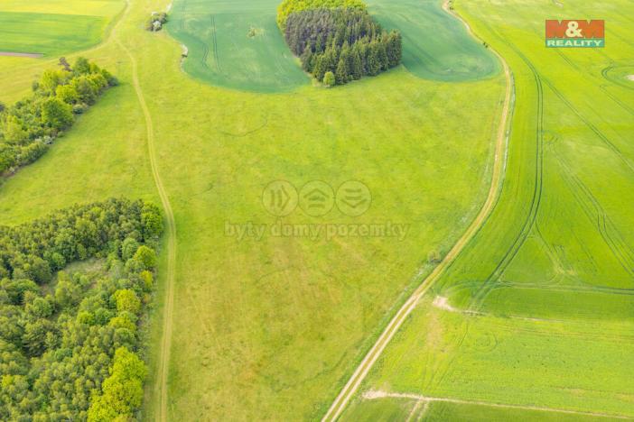 Prodej louky, Lešetice, 10193 m2