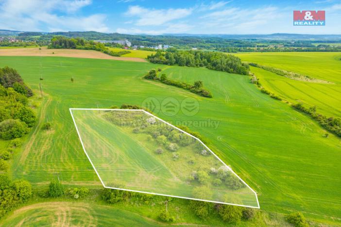 Prodej louky, Lešetice, 6006 m2