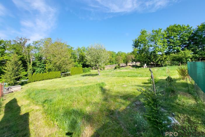 Prodej chaty, Úžice - Nechyba, 1680 m2