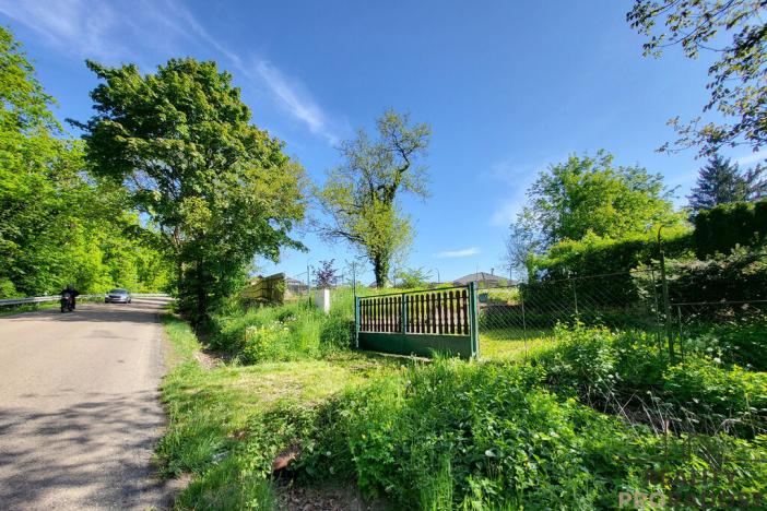 Prodej chaty, Úžice - Nechyba, 1680 m2