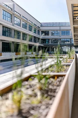 Pronájem obchodního prostoru, Praha - Vysočany, Kolbenova, 150 m2