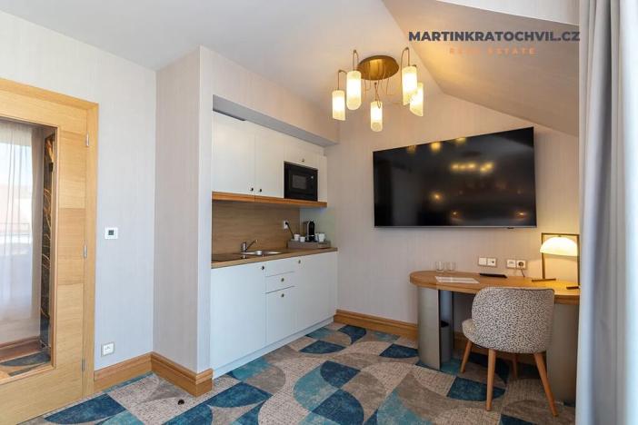 Pronájem bytu 1+kk, Praha - Staré Město, Bílkova, 29 m2