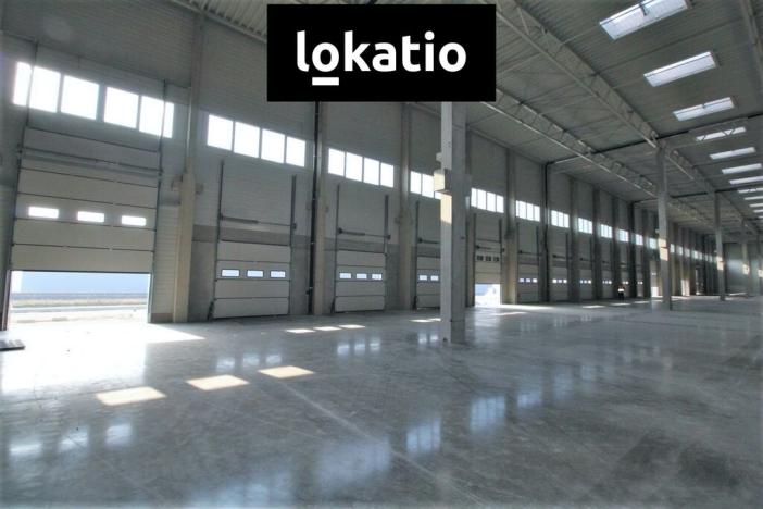 Pronájem skladu, Hostivice, K Dálnici, 5806 m2