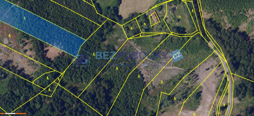 Prodej lesa, Vysočina, 26720 m2