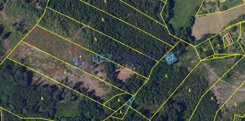 Prodej lesa, Vysočina, 26720 m2