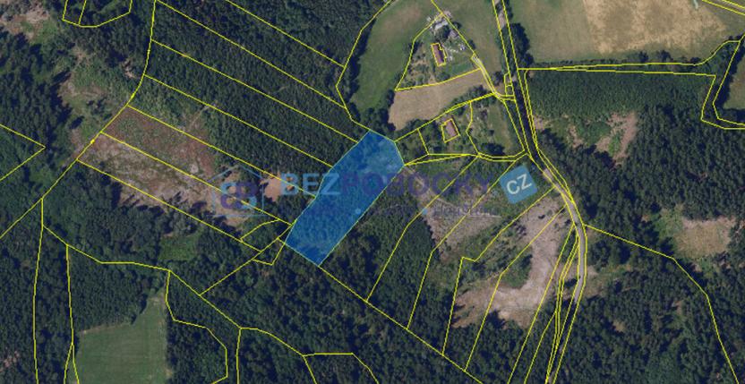 Prodej lesa, Vysočina, 26720 m2