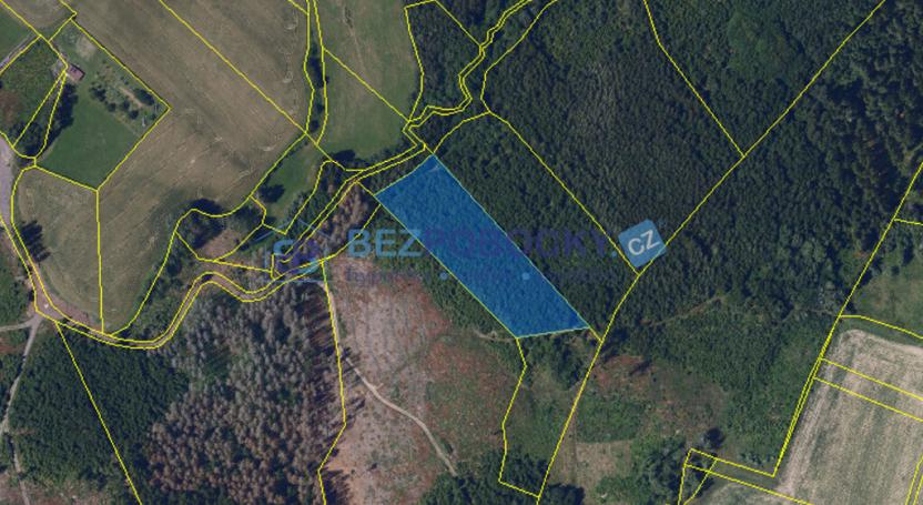 Prodej lesa, Vysočina, 26720 m2