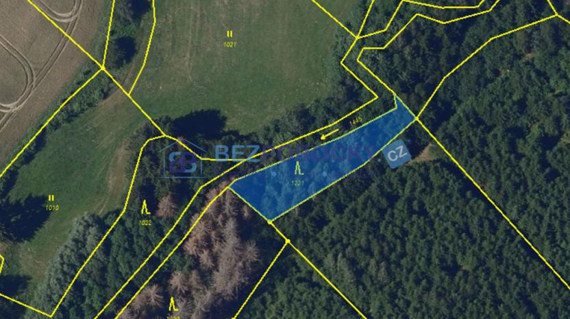 Prodej lesa, Vysočina, 26720 m2