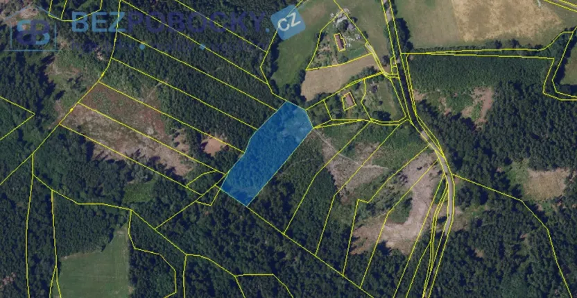 Prodej lesa, Vysočina, 26720 m2