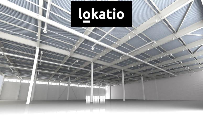 Pronájem výrobních prostor, Hustopeče, 3355 m2