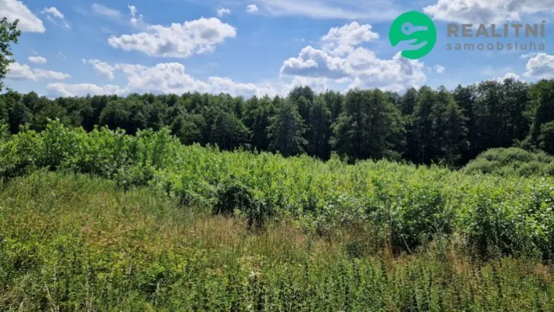 Prodej pozemku pro bydlení, Hamr na Jezeře, 8743 m2