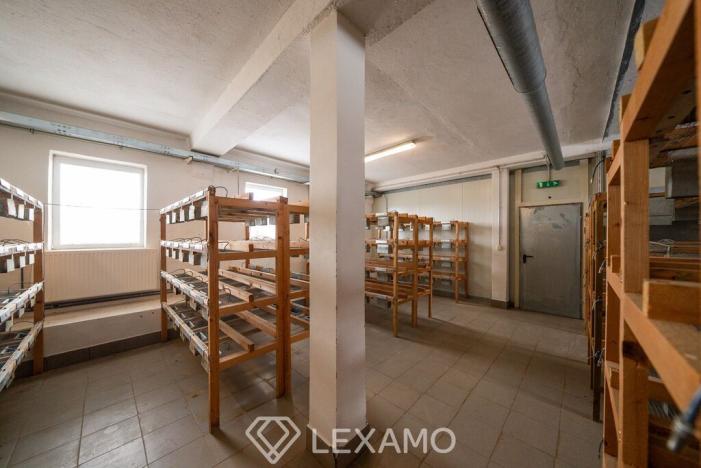 Pronájem výrobních prostor, Moravské Budějovice - Vranín, 200 m2