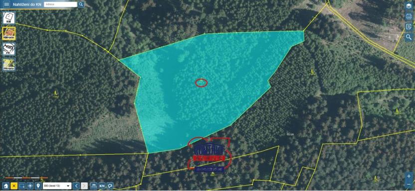 Prodej lesa, Huslenky, 25593 m2