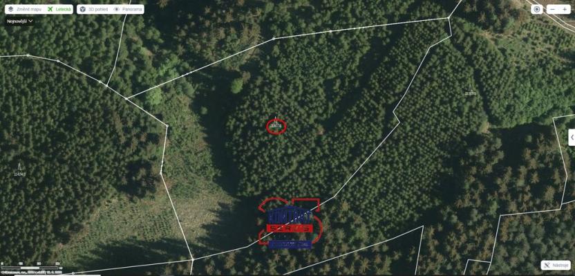 Prodej lesa, Huslenky, 25593 m2