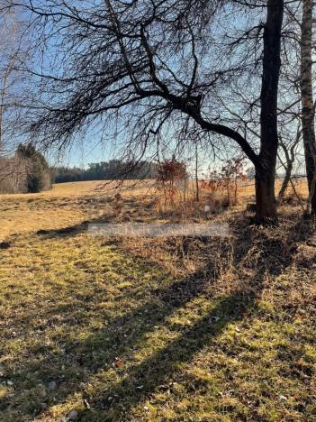 Prodej pozemku pro bydlení, Horní Stropnice - Svébohy, 3293 m2