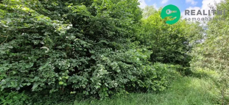 Prodej pozemku pro bydlení, Zákupy - Kamenice, 1122 m2