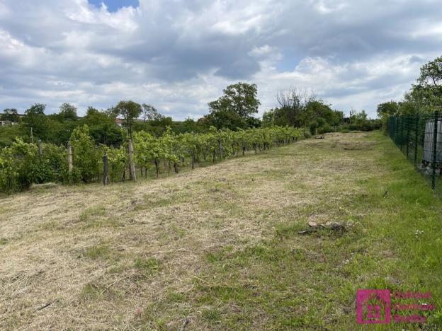 Prodej zahrady, Mikulov, 935 m2