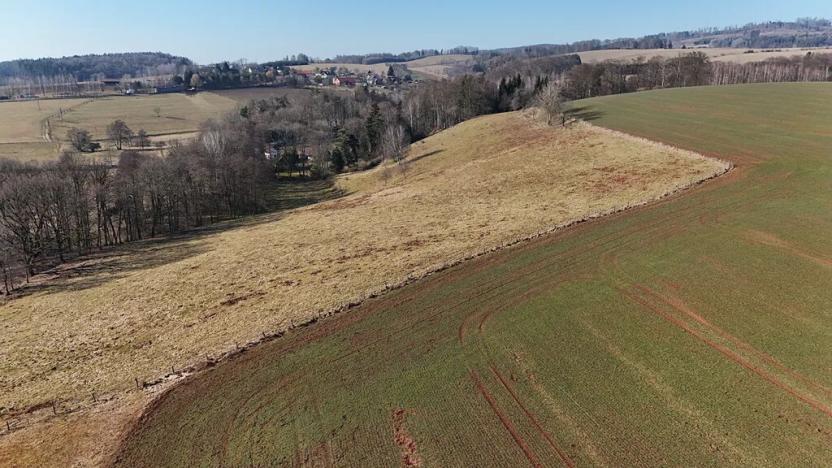 Prodej louky, Zdobín, 46786 m2