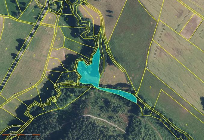 Prodej pole, Zdobín, 46786 m2