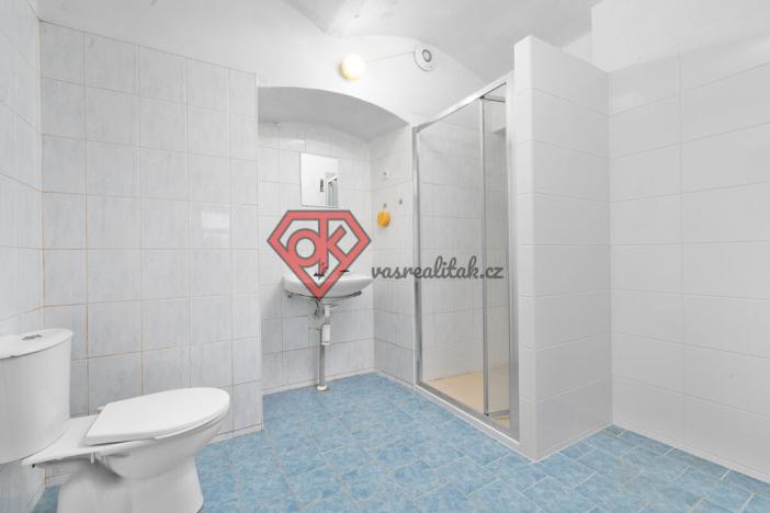 Prodej chalupy, Orličky, 663 m2