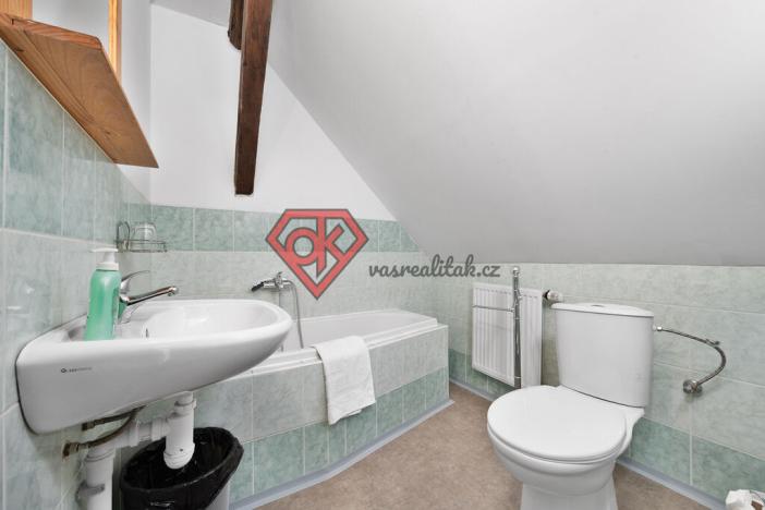 Prodej chalupy, Orličky, 663 m2