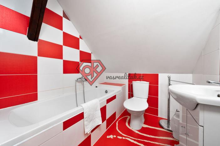 Prodej chalupy, Orličky, 663 m2