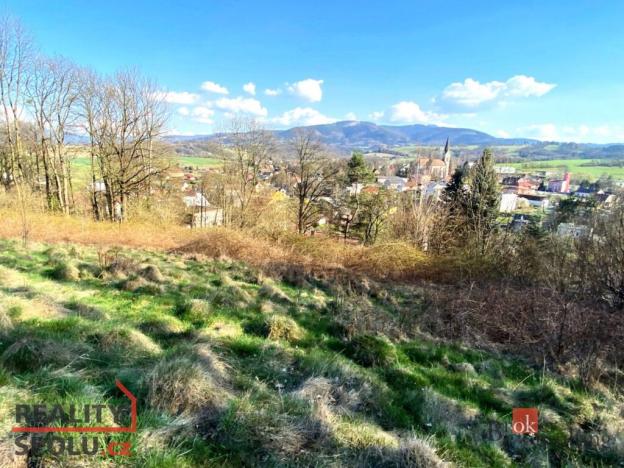 Prodej pozemku pro bydlení, Janovice, 9446 m2