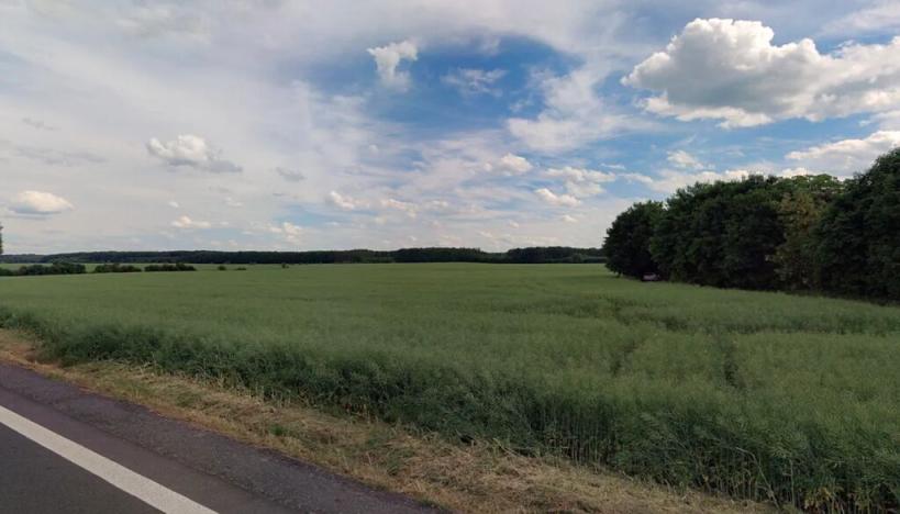 Prodej podílu pole, Běrunice, 20083 m2