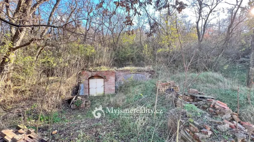 Prodej - jiné, Dyjákovičky, 226 m2